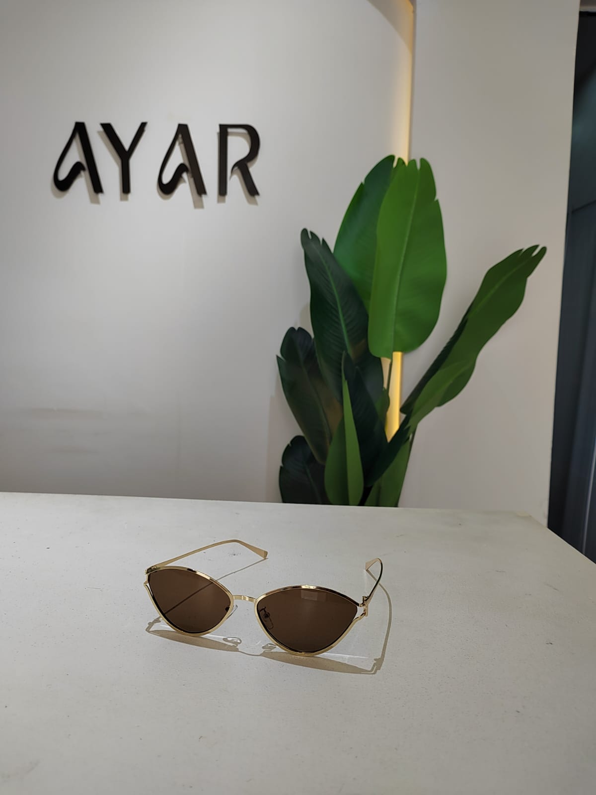 906 A063 - الصورة 1